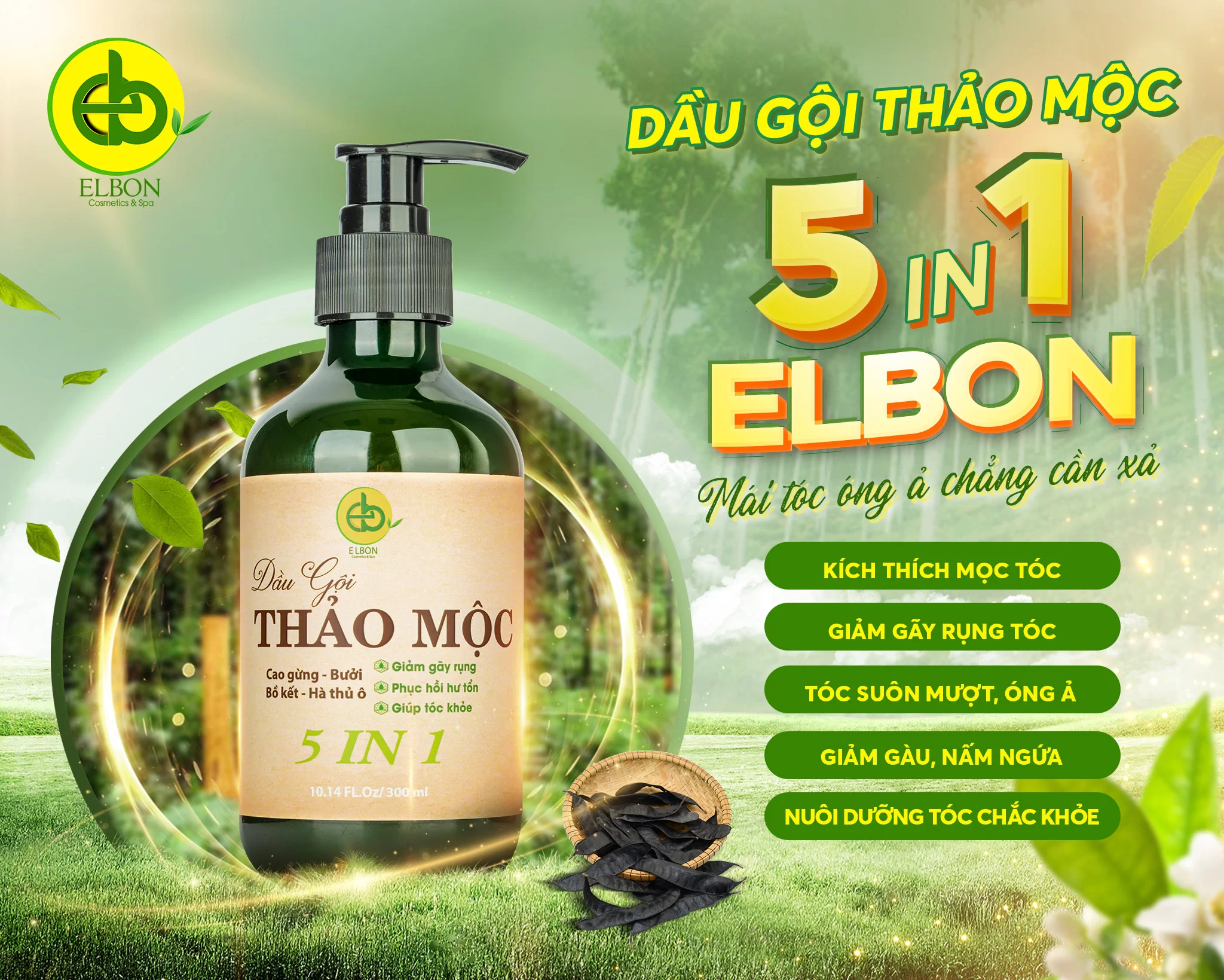 Tìm hiểu sơ lược về dầu gội thảo mộc