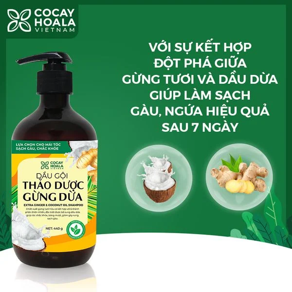 4 THÓI QUEN CẦN TRÁNH NẾU KHÔNG MUỐN TÌNH TRẠNG GÀU TRỞ NÊN TRẦM TRỌNG